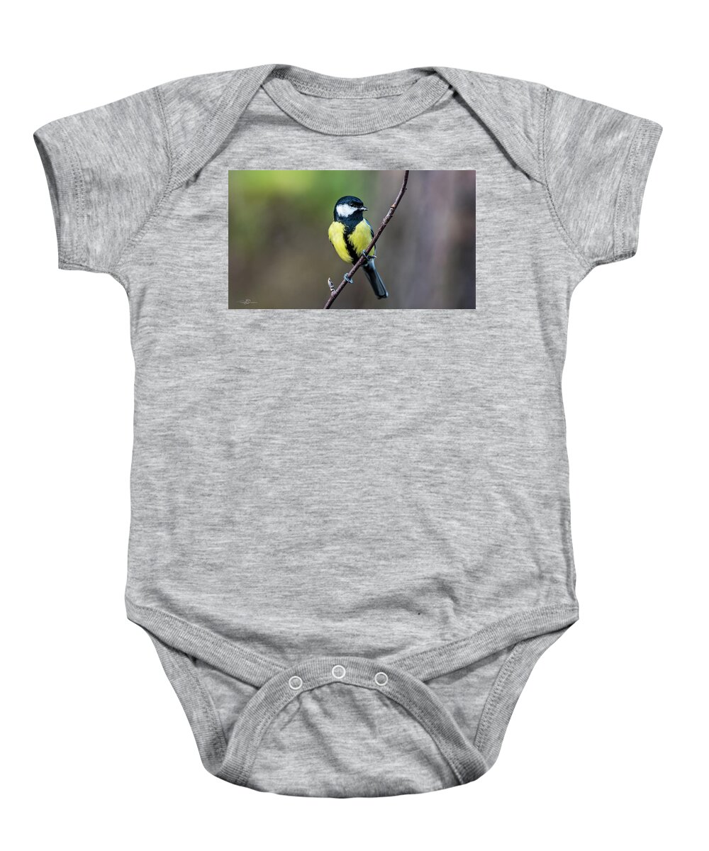 Great Tit Baby Onesie featuring the photograph Great Tit perching on the twig by Torbjorn Swenelius