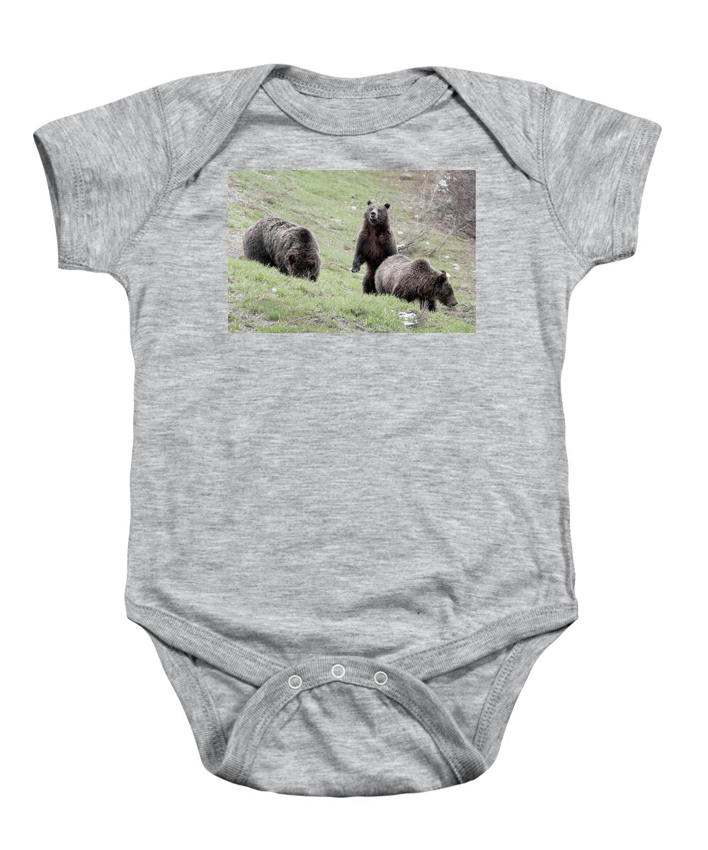 Grizzly Baby Onesie featuring the photograph Grizzly 610 and cubs by Ronnie And Frances Howard