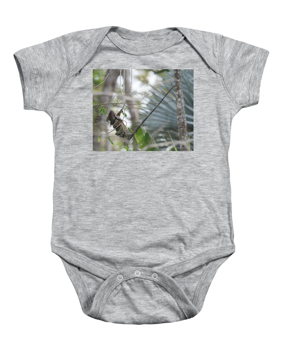 Iguana Baby Onesie featuring the photograph Hang On by Patrick Nowotny