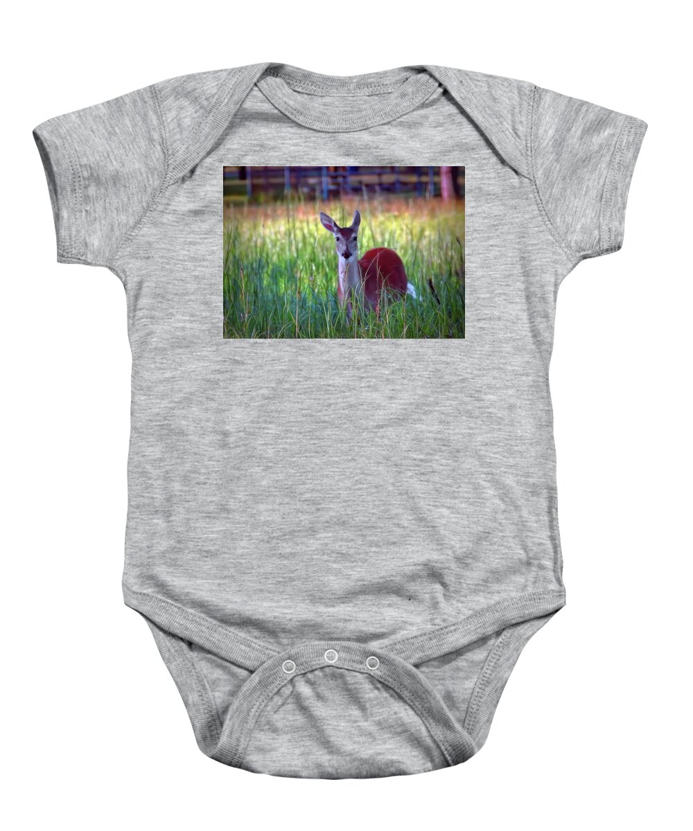  Baby Onesie featuring the photograph Hiding in the Tall Grass by Jack Wilson