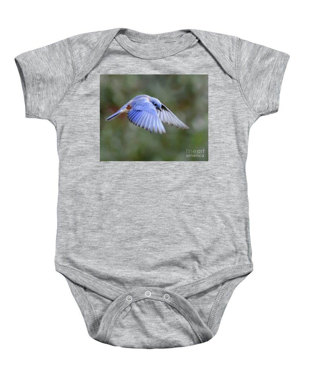 Bluebird Baby Onesie featuring the photograph Hovering Bluebird by Amy Porter