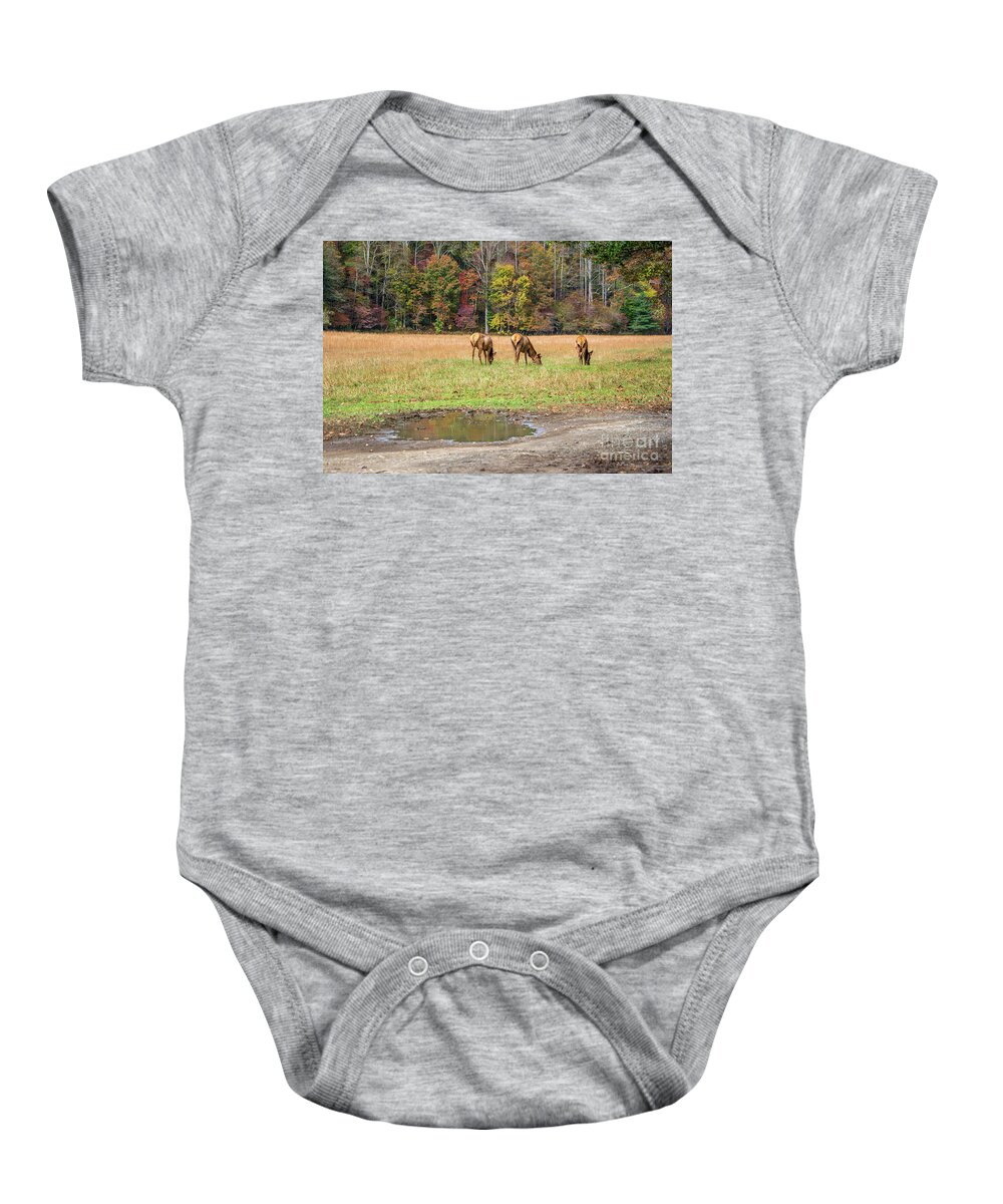 Elk Baby Onesie featuring the photograph How I Shoot Elk by Cathy Donohoue