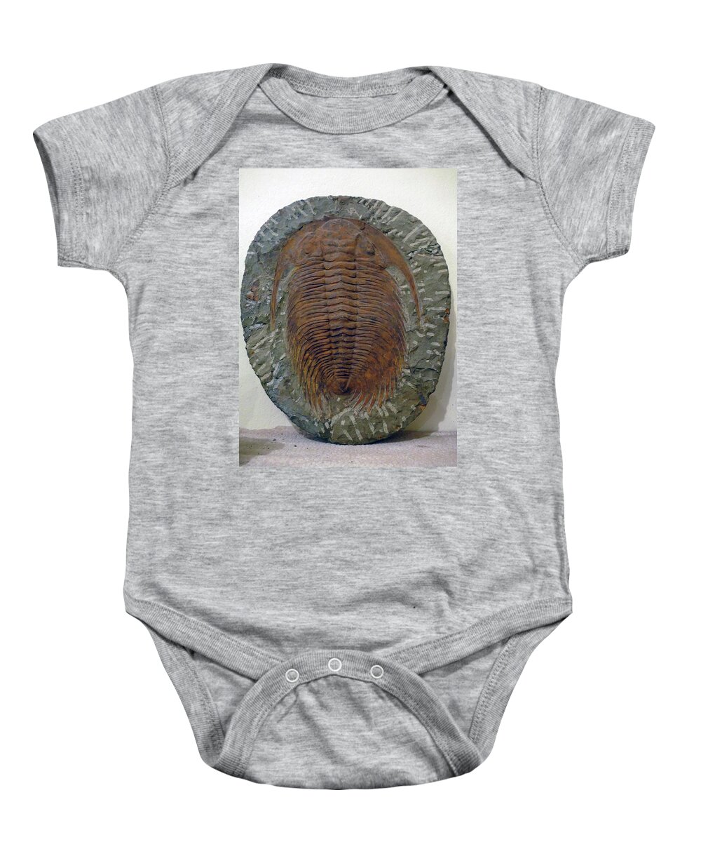 Erfouad Baby Onesie featuring the photograph Huge trilobite fossil, hundreds of millions of years old by Steve Estvanik