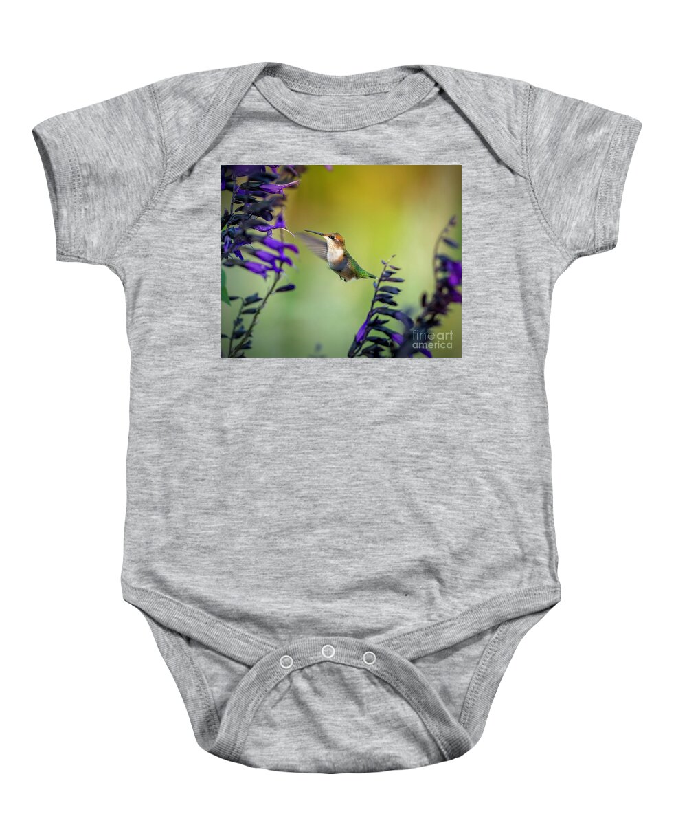 Hummingbird Baby Onesie featuring the photograph Hummingbird with Purple 2 by Bill Frische