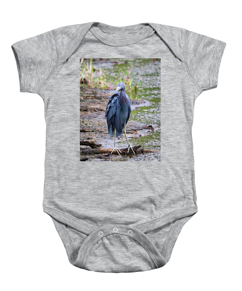 Heron Baby Onesie featuring the photograph Impressive Feathers on Little Blue Heron by Carol Groenen