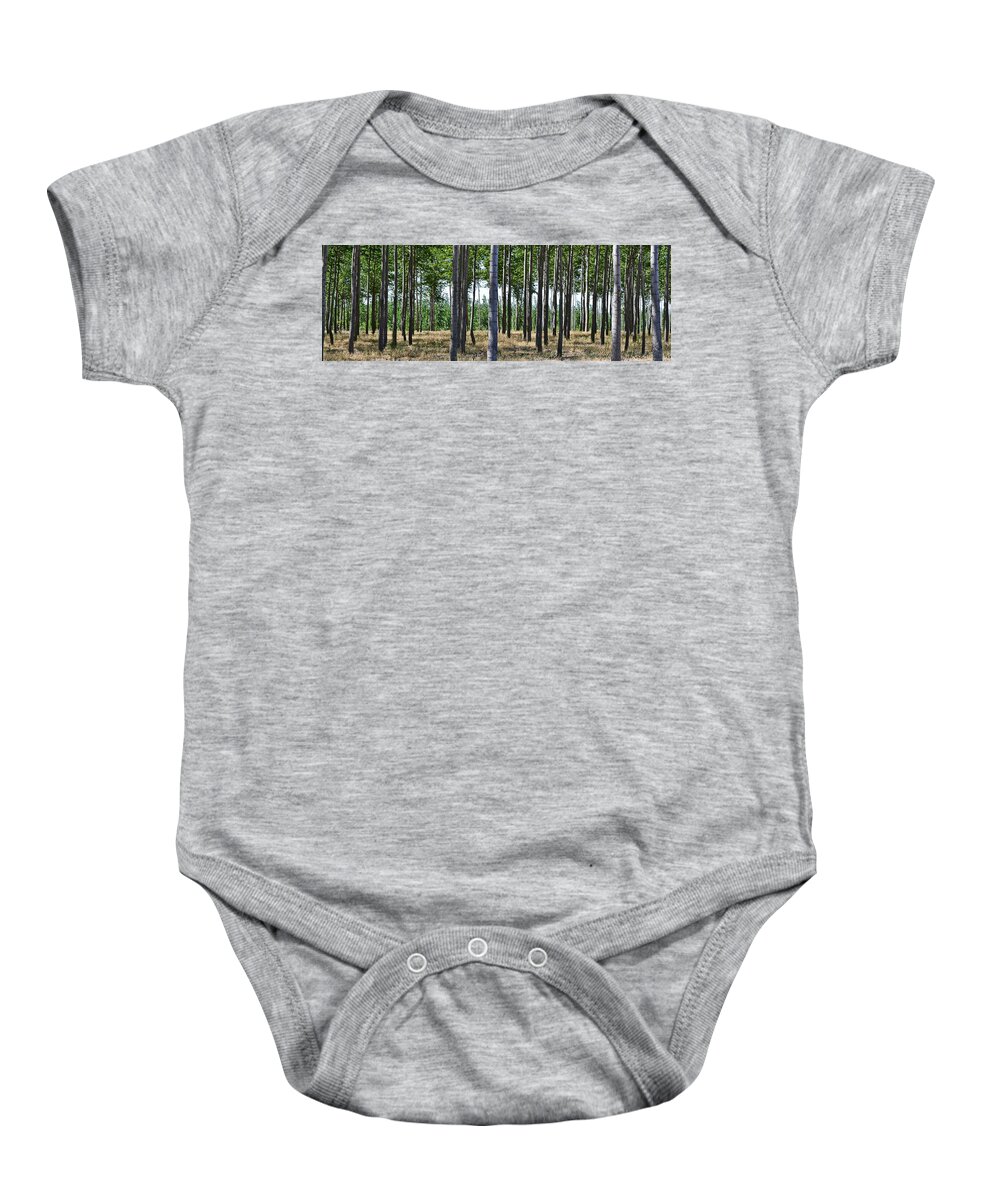 Poplar Tree Baby Onesie featuring the photograph In the Woods by Michelle Calkins