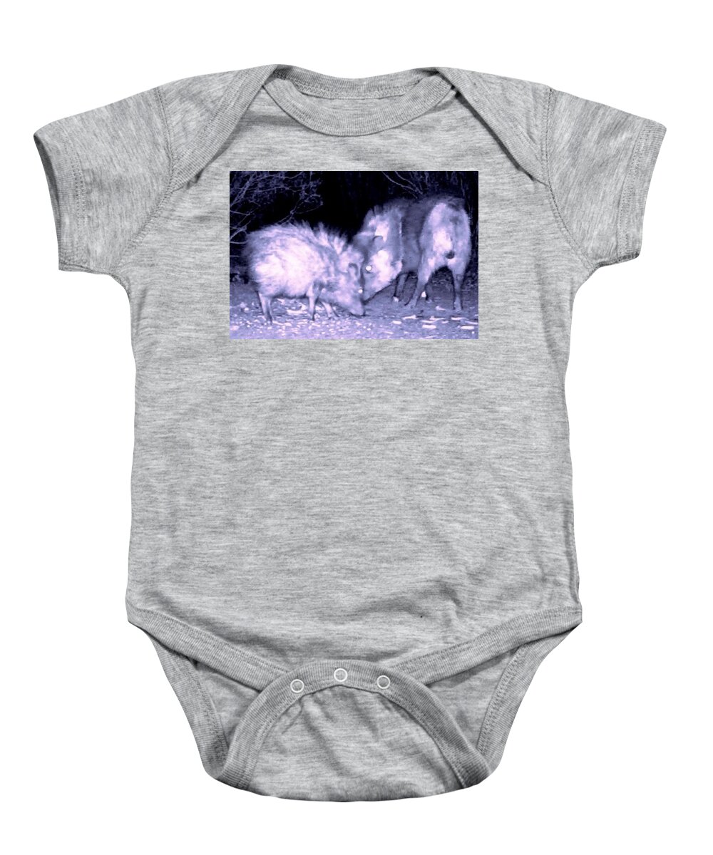 Animals Baby Onesie featuring the photograph Javelina Head to Head 2 by Judy Kennedy