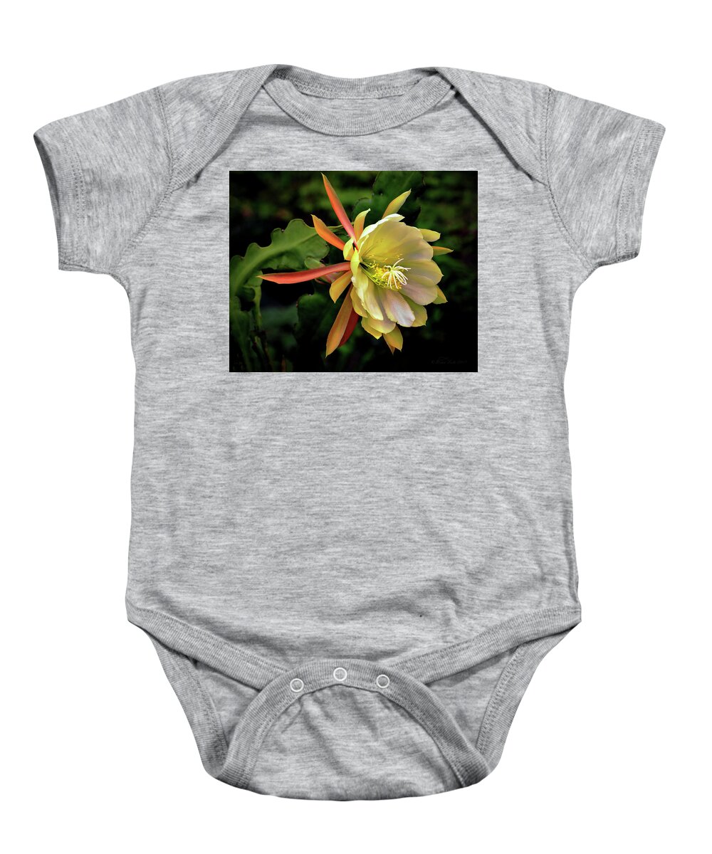 Nature Baby Onesie featuring the photograph Jerusalem Day Orchid Cactus by Brian Tada