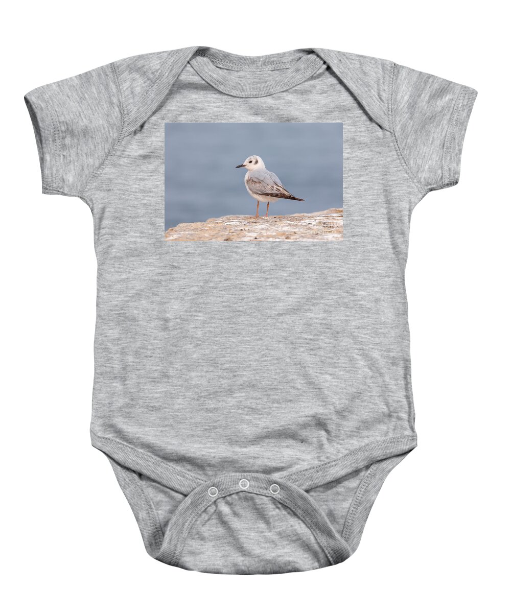 Photography Baby Onesie featuring the photograph Juvenile Gull by Alma Danison