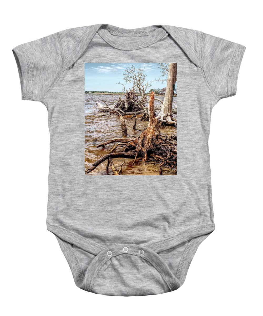 Nature Baby Onesie featuring the photograph Land and Sea 2 by Bearj B Photo Art