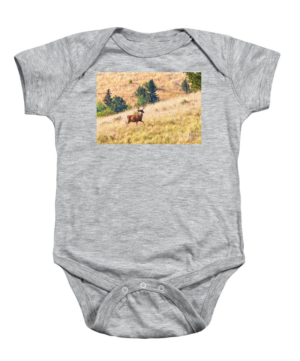 Bucks Baby Onesie featuring the photograph Majestic Buck in Grouse Meadow by Steven Krull