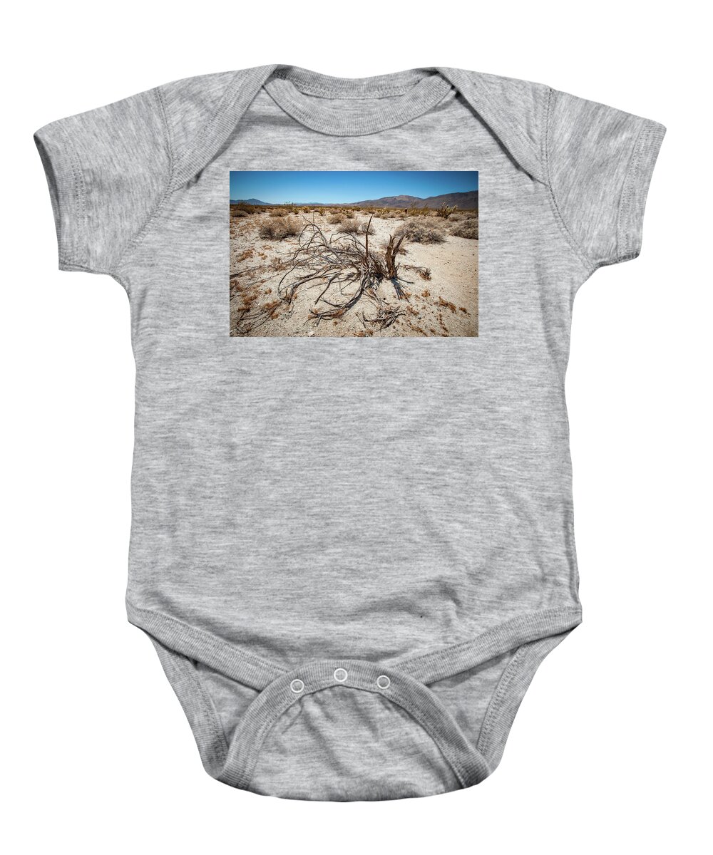 Anza-borrego Desert State Park Baby Onesie featuring the photograph Mesquite in the Desert Sun by Mark Duehmig