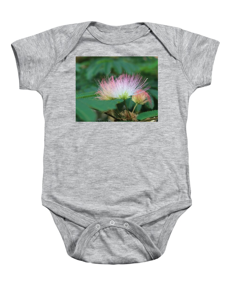 Macro Baby Onesie featuring the photograph Mimosa Tree in Bloom by Christopher Lotito