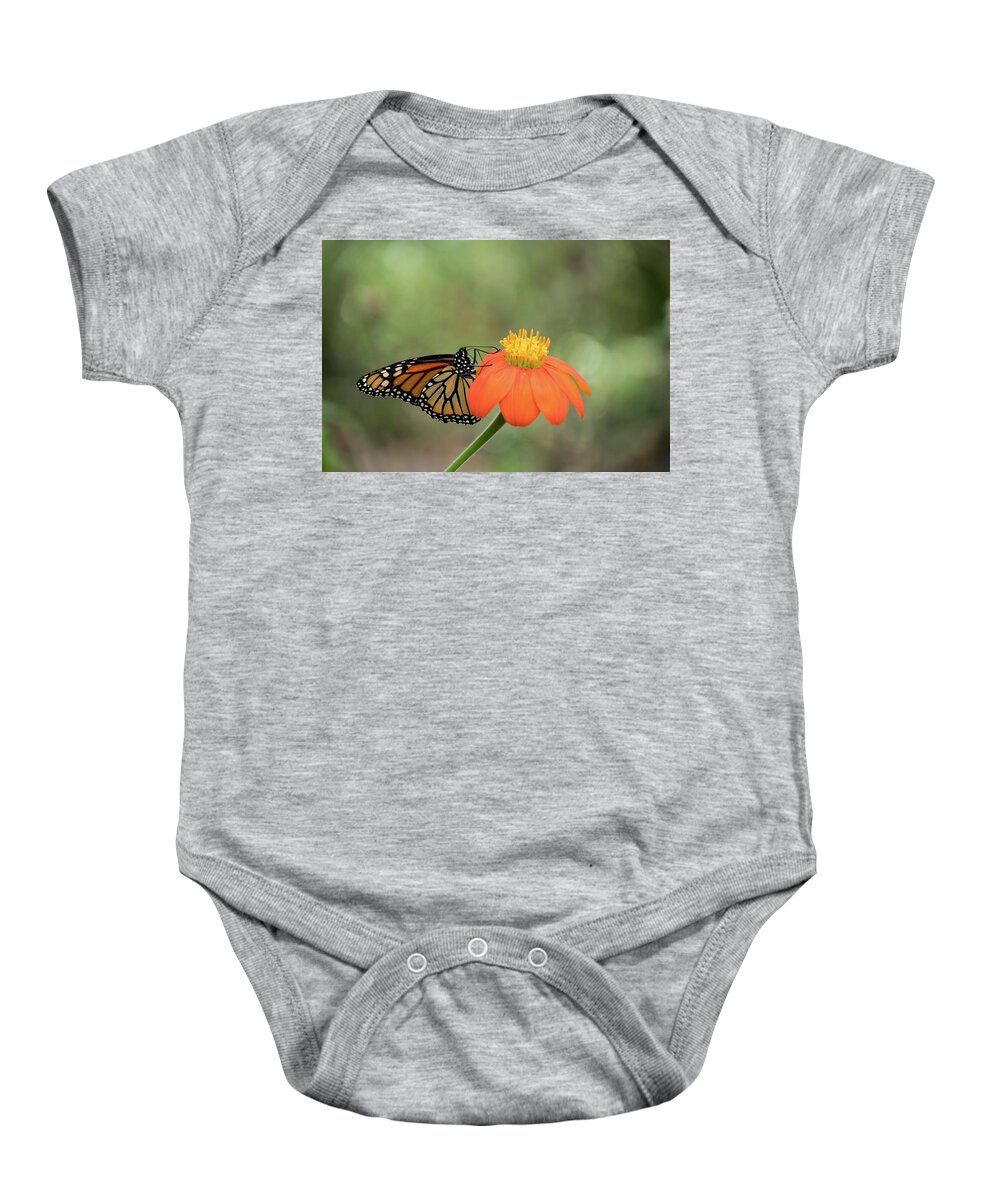 Butterfly Baby Onesie featuring the photograph Monarch Danaus plexippus by Lucy Banks