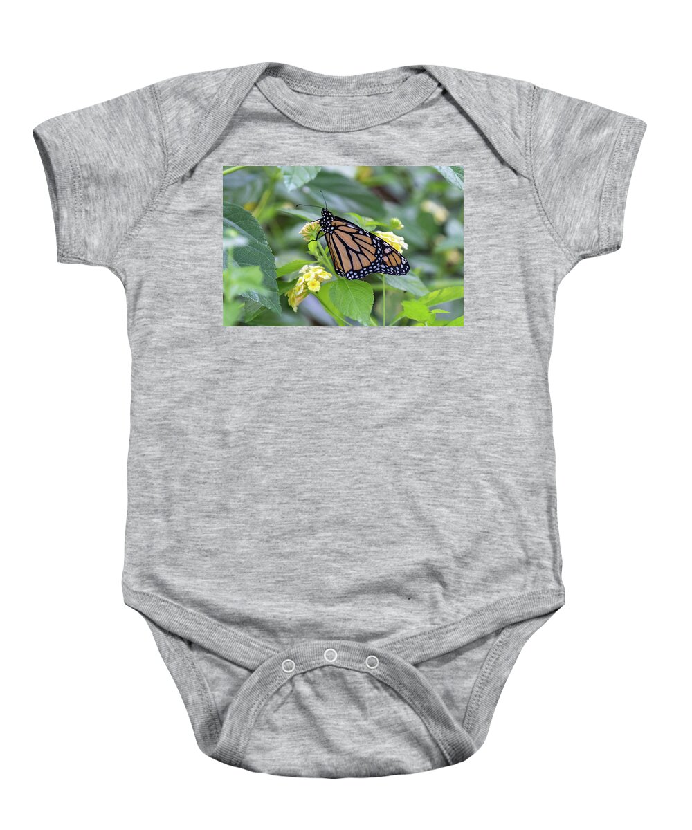 Monarch Baby Onesie featuring the photograph Monarch Moment by Patricia Schaefer