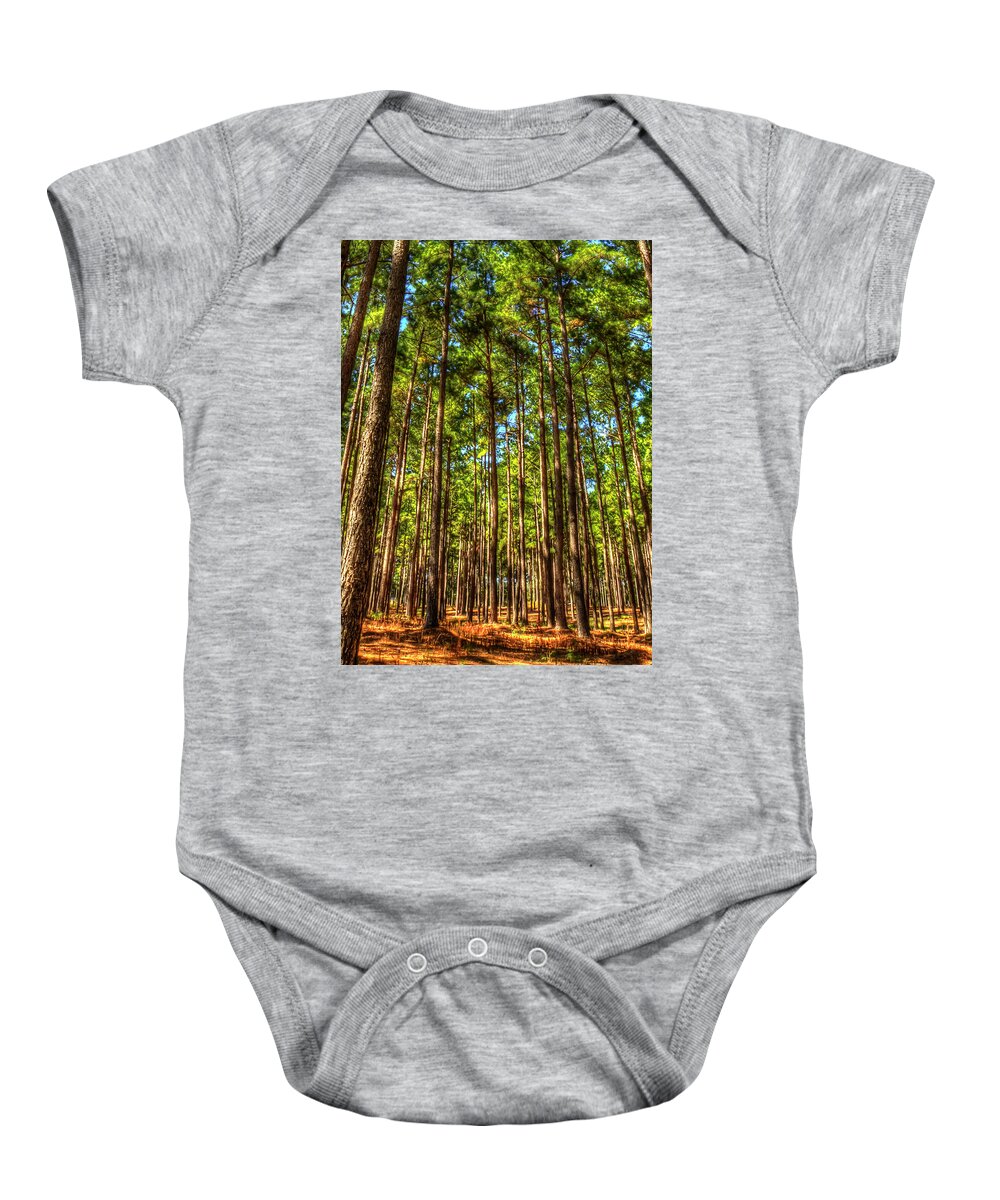 Reid Callaway Pine Tree Images Baby Onesie featuring the photograph Money Growing On Trees 7 Georgia Pine Tree Forest Art by Reid Callaway