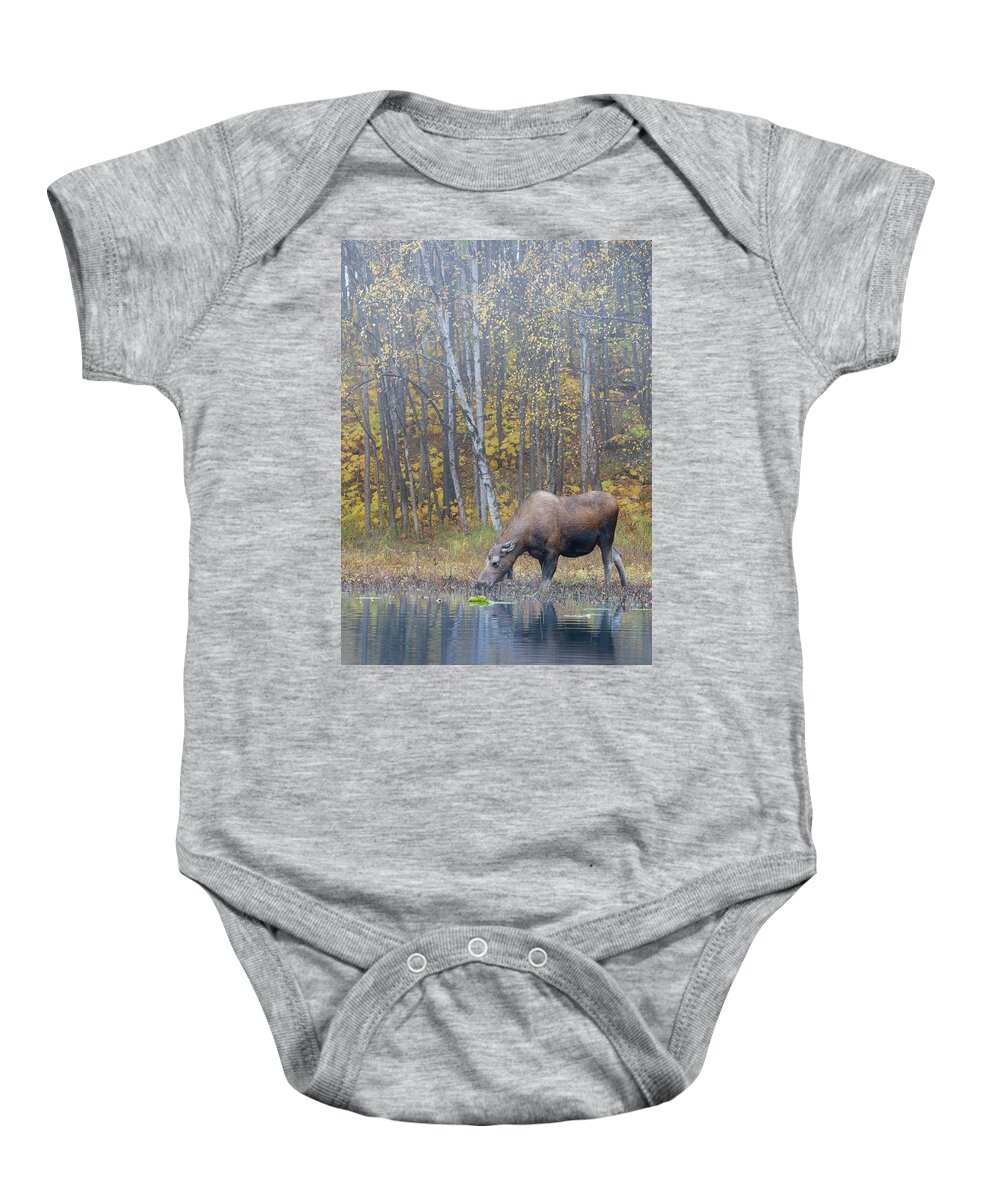 Alaska Baby Onesie featuring the photograph Moose Drinking at Lake by Scott Slone