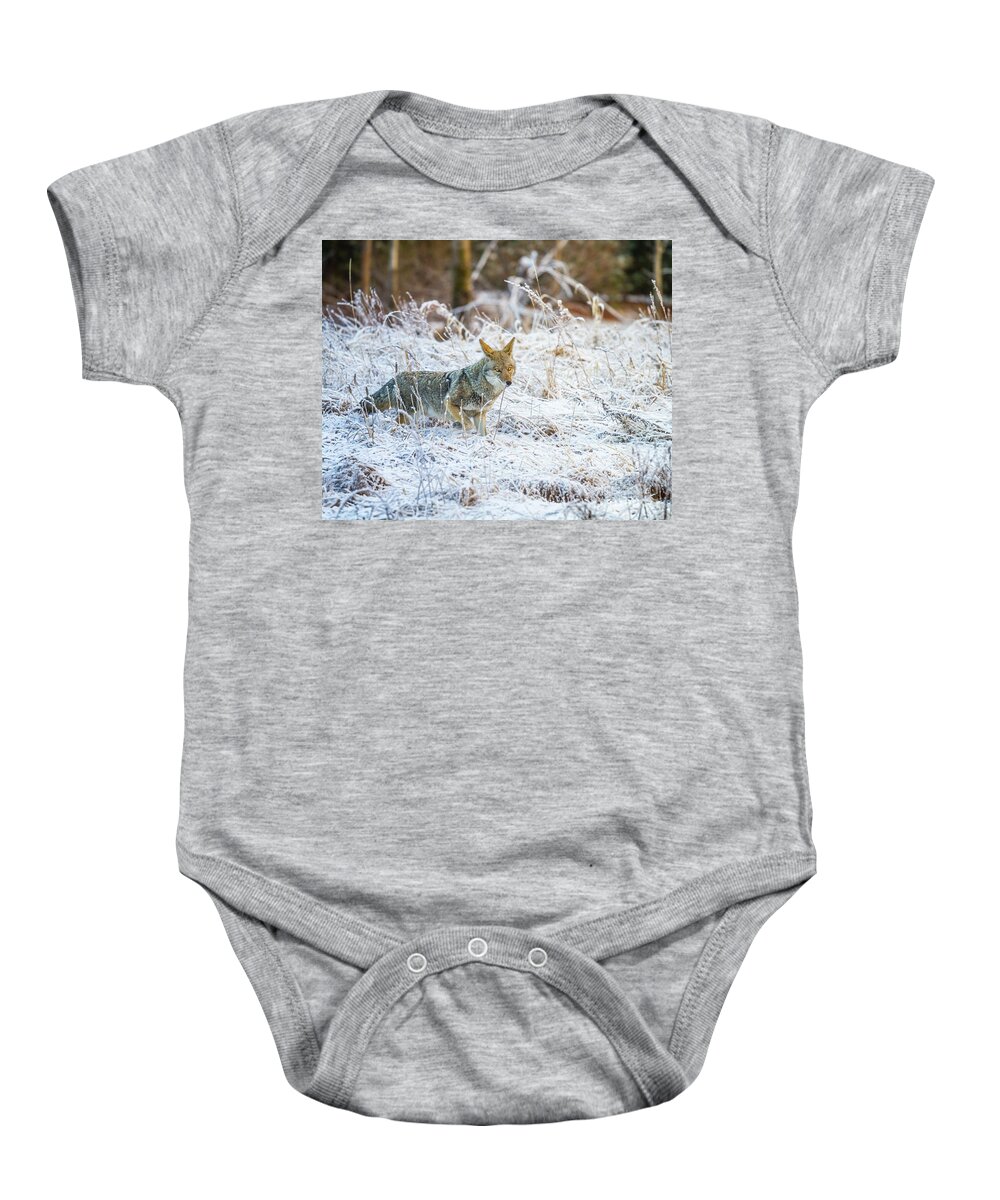 Yosemite Baby Onesie featuring the photograph Morning Hunt by Anthony Michael Bonafede