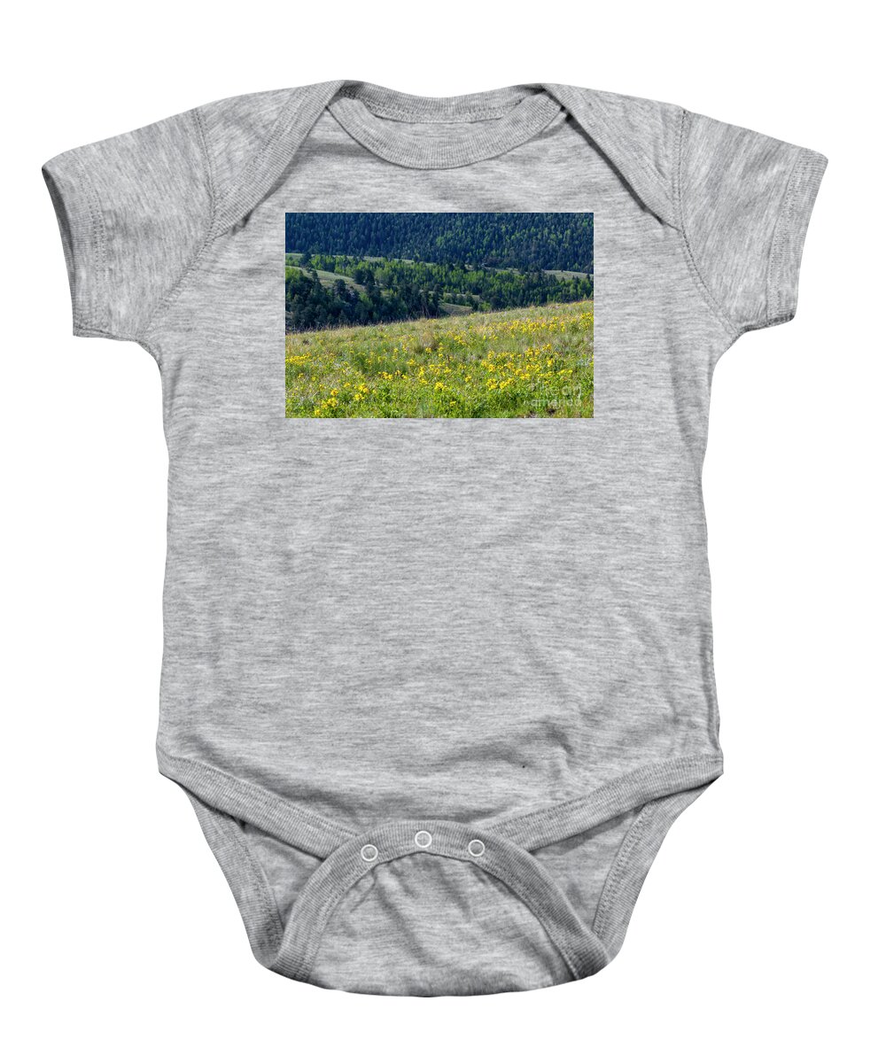 Wildflowers Baby Onesie featuring the photograph Mountain Wildflowers by Steven Krull