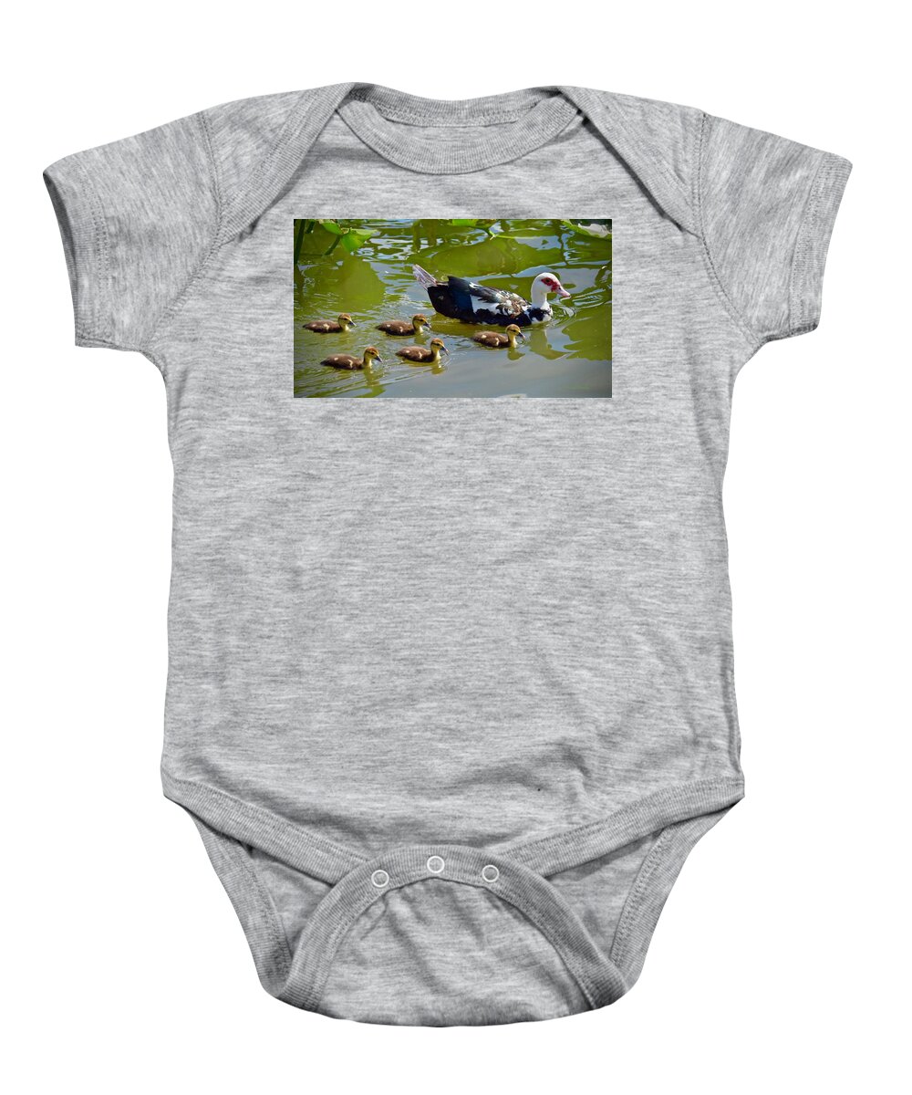 Muscovy Baby Onesie featuring the photograph Muscovy Moma and Ducklings by Carol Bradley