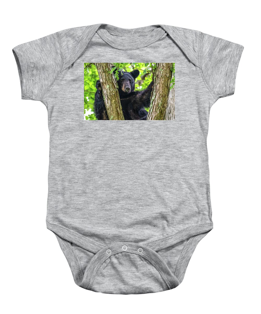 American Black Bear Baby Onesie featuring the photograph Not All Bears Are Created Equal by Marcy Wielfaert