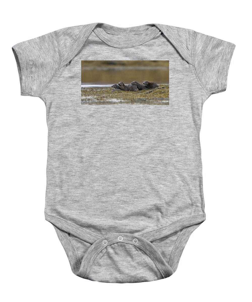 Otter Baby Onesie featuring the photograph Otter Family At Dusk by Pete Walkden