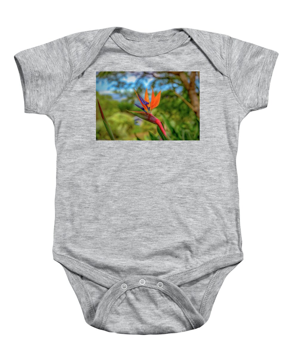 Hawaii Baby Onesie featuring the photograph Paradise Red Bird by G Lamar Yancy