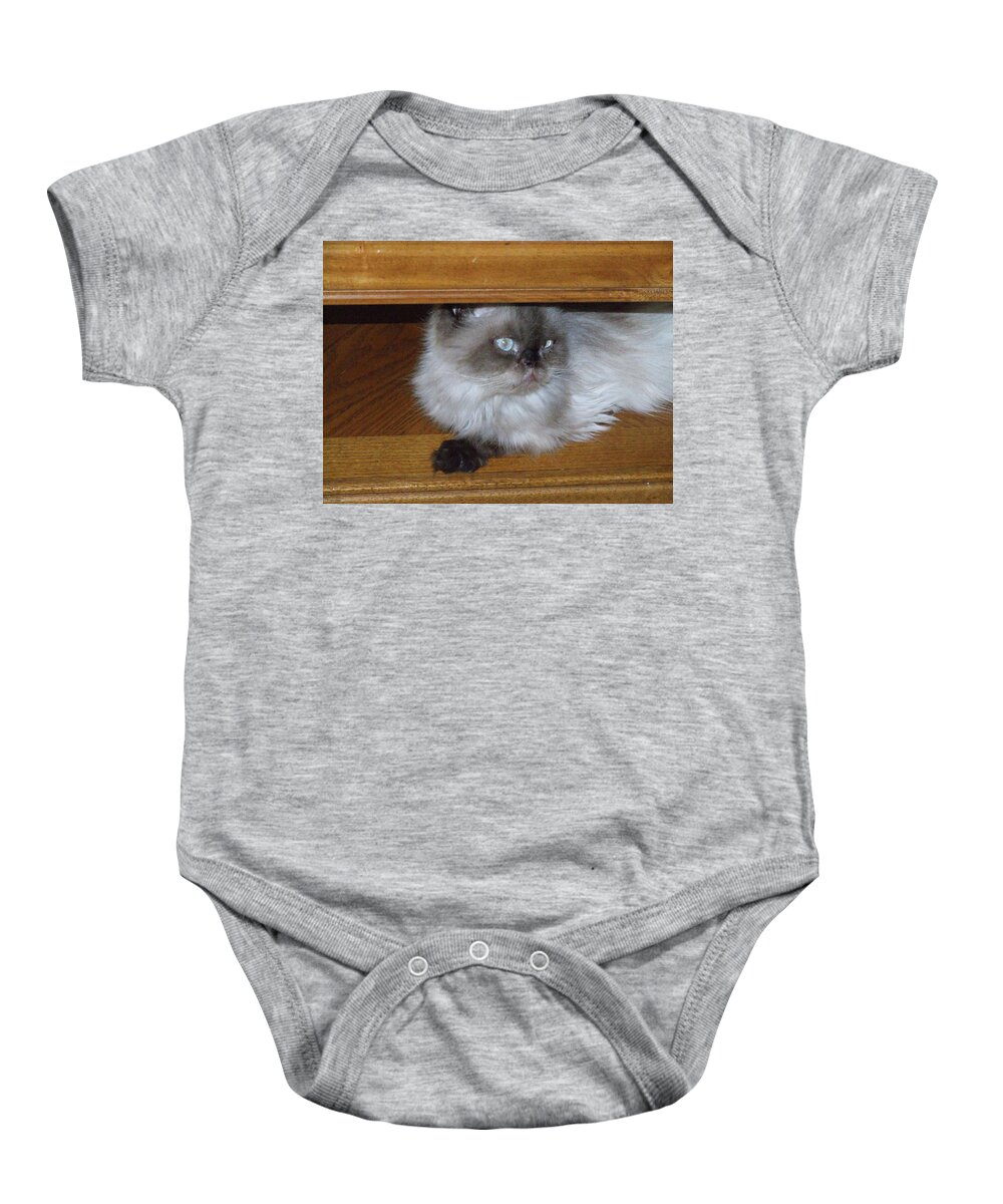 Kitty Baby Onesie featuring the photograph Peek a boo by Chuck Shafer