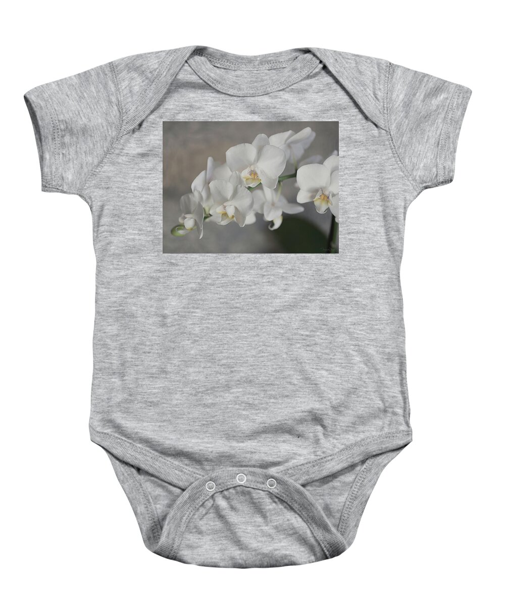 Orchid Baby Onesie featuring the photograph Phalaenopsis Orchid 4647 by Teresa Wilson