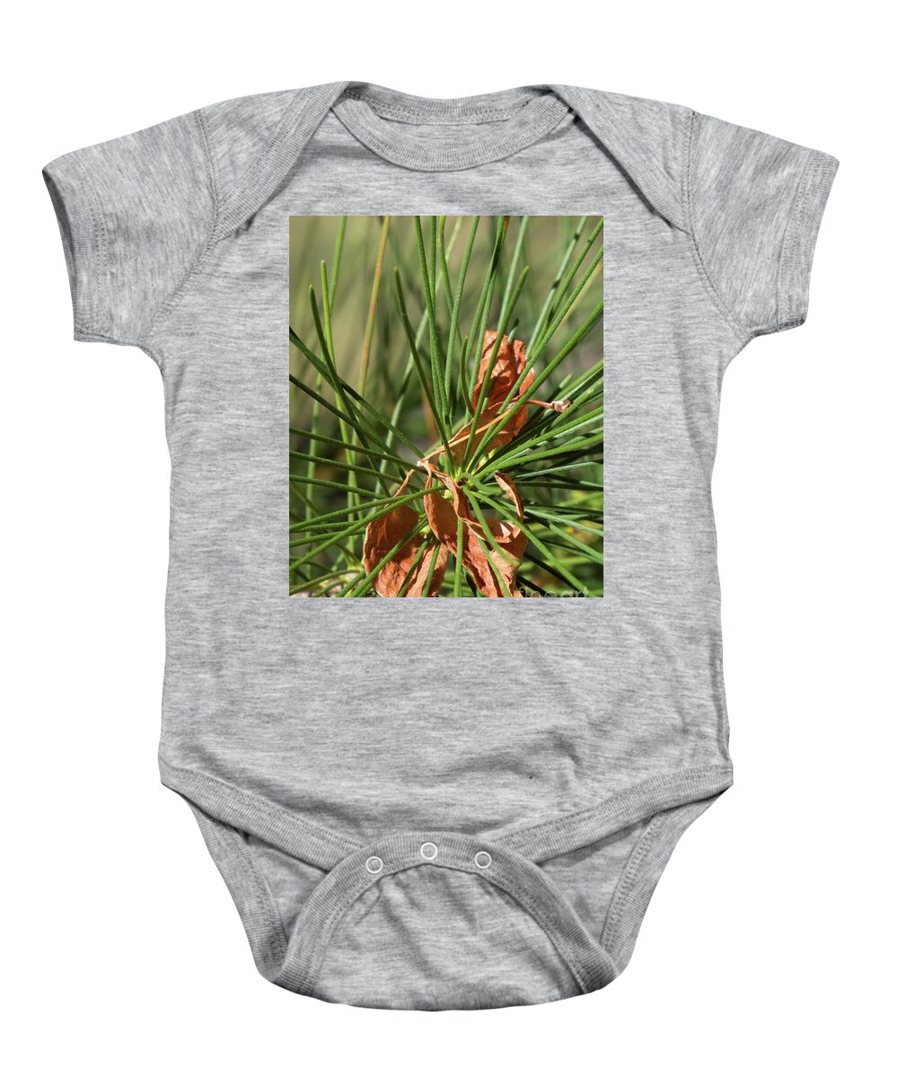 Green Baby Onesie featuring the photograph Pine Needles 1 by Christy Garavetto