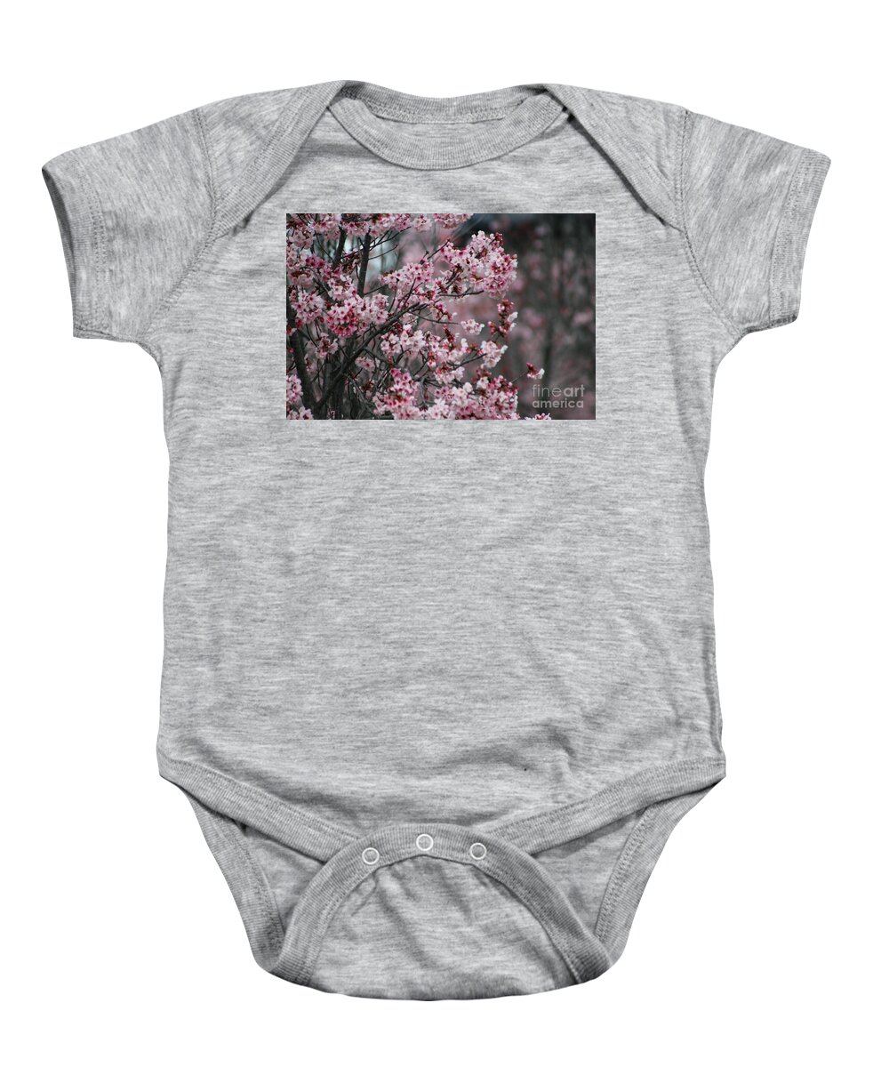 Misty Baby Onesie featuring the photograph Pink Blossoms in Foreground at Reagan Library 3 by Colleen Cornelius
