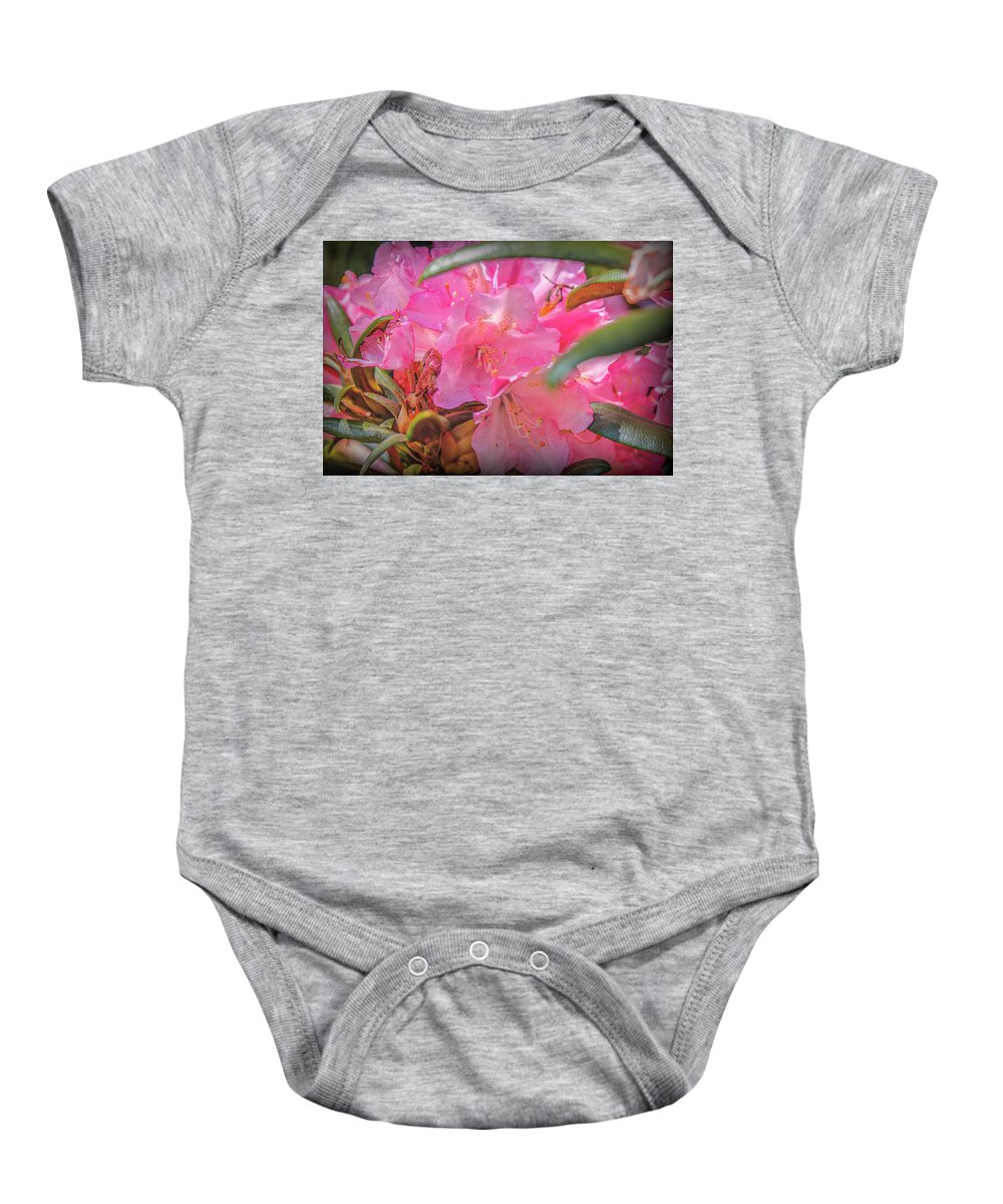 Pink Pink Pink Baby Onesie featuring the photograph Pink Pink Pink #i8 by Leif Sohlman