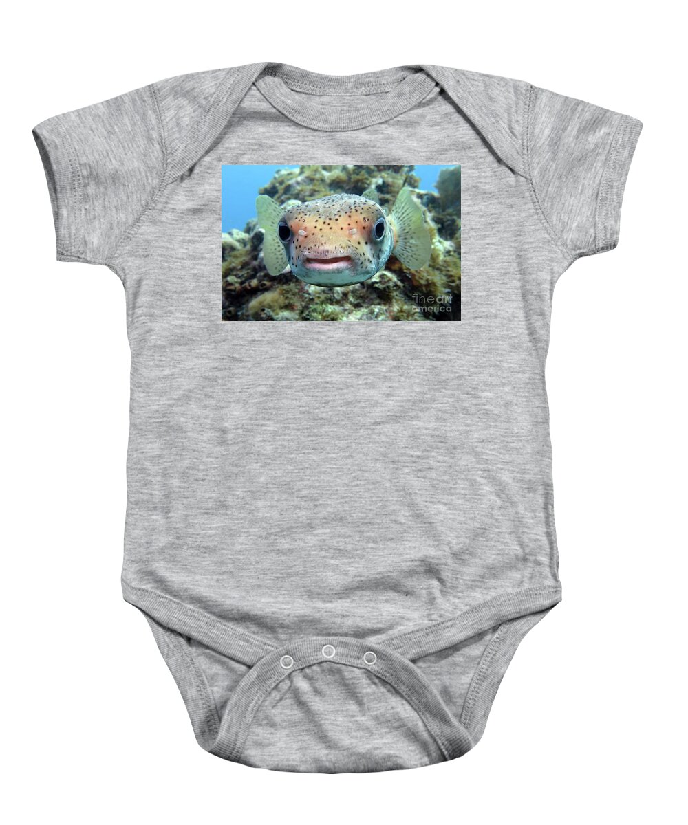 Underwater Baby Onesie featuring the photograph Porcupinefish 13 by Daryl Duda