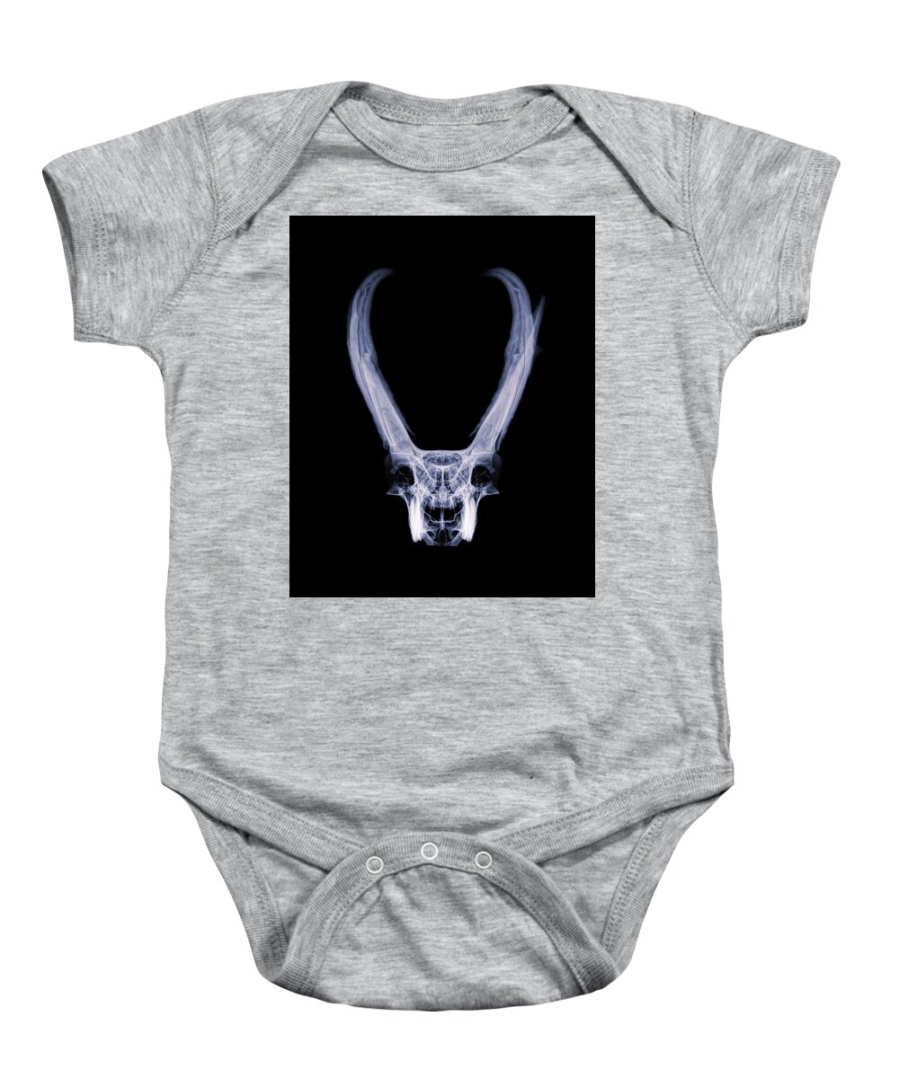 Kansas Baby Onesie featuring the photograph Pronghorn x-ray 02 by Rob Graham