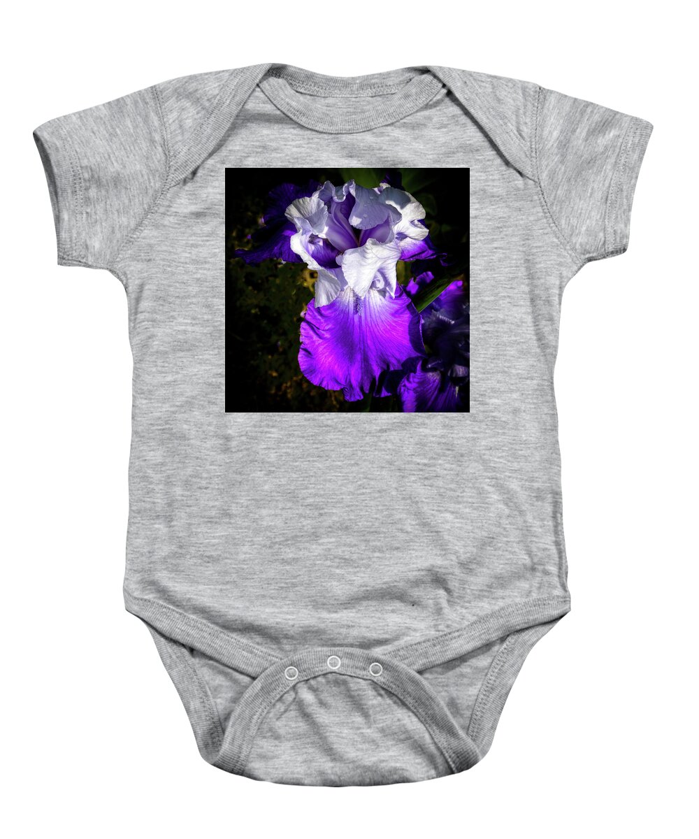 Hdr Baby Onesie featuring the photograph Purple and White Iris by David Patterson