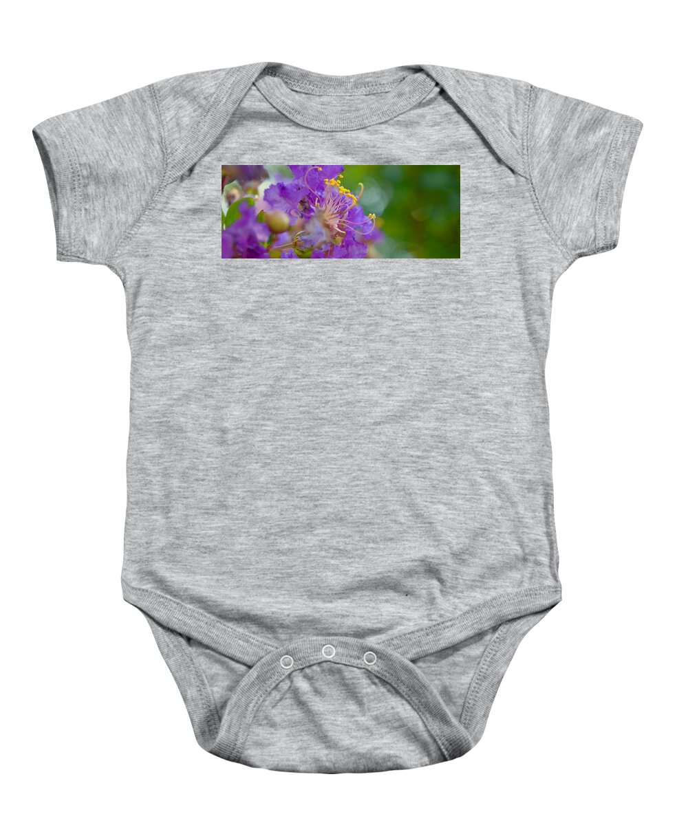 Crepe Myrtle Tree Baby Onesie featuring the photograph Purple Crepe Three by Debra Grace Addison