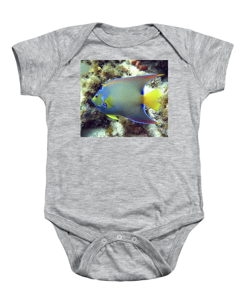 Underwater Baby Onesie featuring the photograph Queen Angelfish 43 by Daryl Duda
