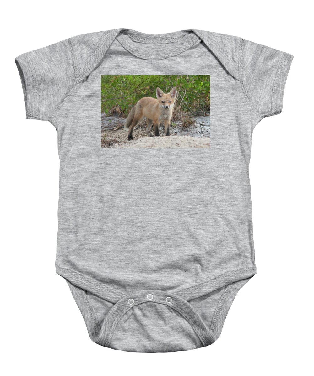 Fox Baby Onesie featuring the photograph Red Fox Kit #2 by Paul Rebmann