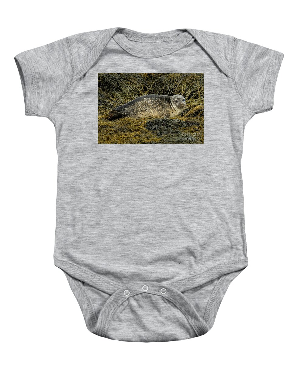 Animal Baby Onesie featuring the photograph Relaxing Common Seal At The Coast Near Dunvegan Castle On The Isle Of Skye In Scotland by Andreas Berthold