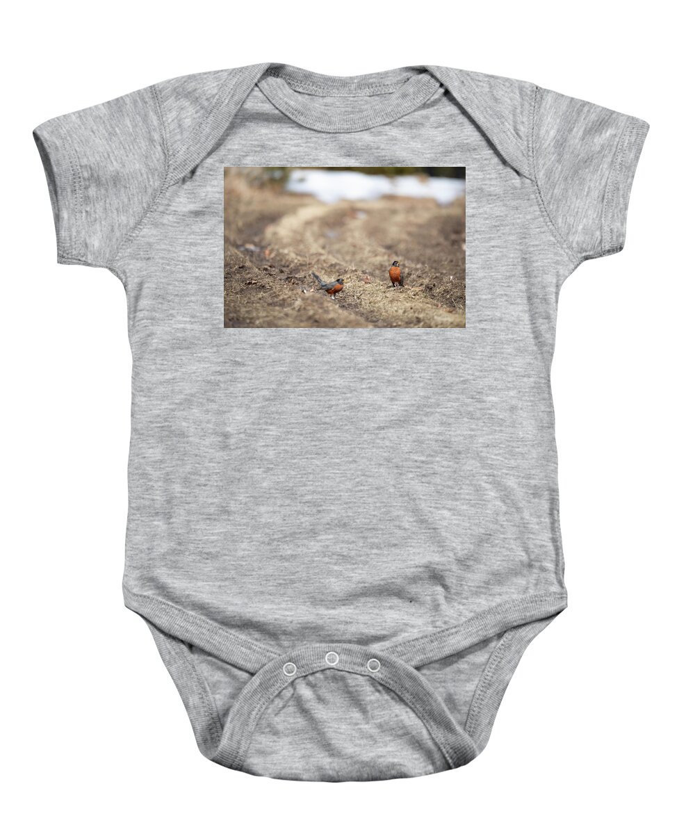 Robin Bird Birds Birdwatching Photobomb Nature Outside Outdoors Robins Brian Hale Brianhalephoto New England Winter Spring Snow Newengland Usa U.s.a. Baby Onesie featuring the photograph Robin Photobomb by Brian Hale
