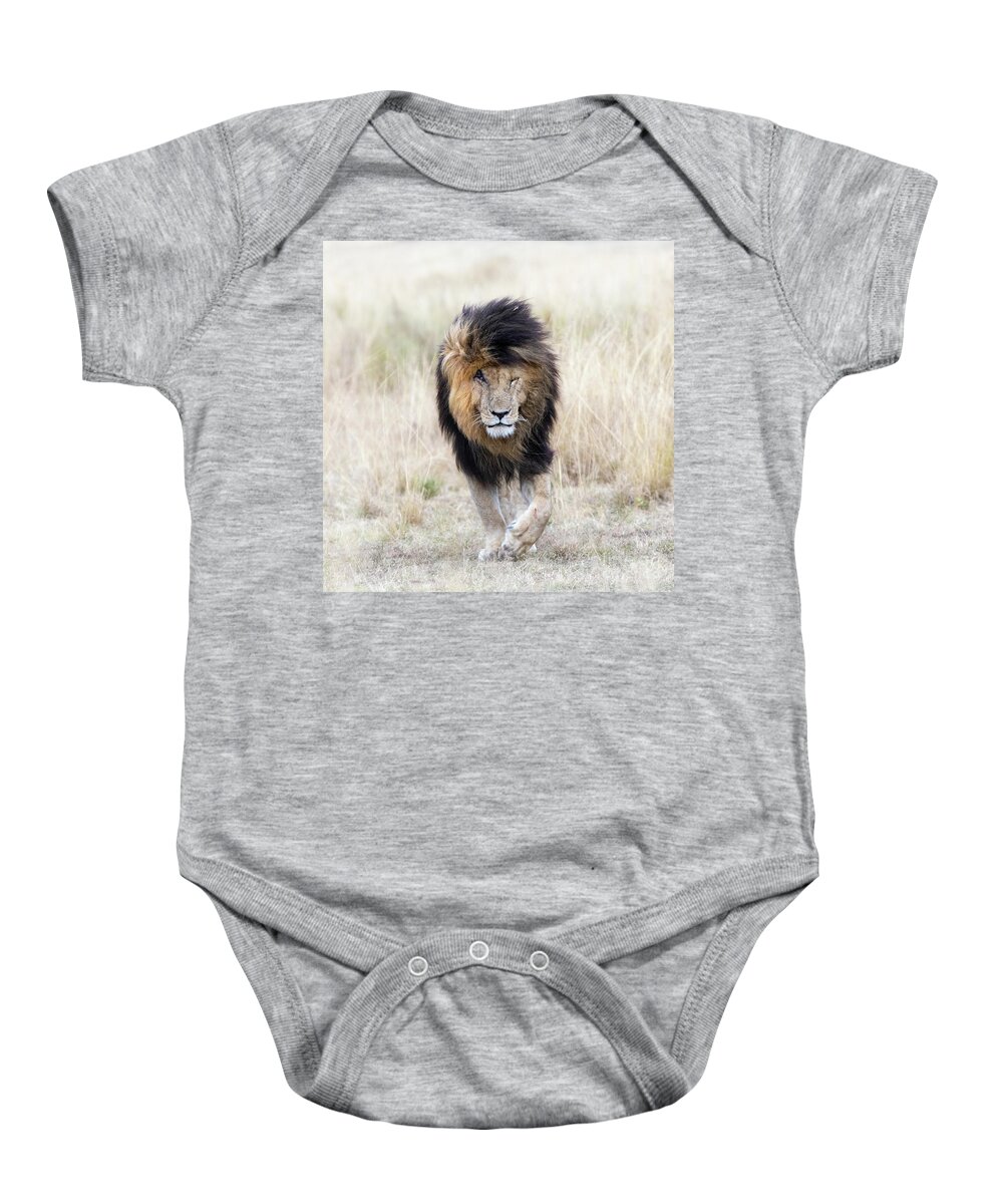 Mara Baby Onesie featuring the photograph Scar the lion by Jane Rix