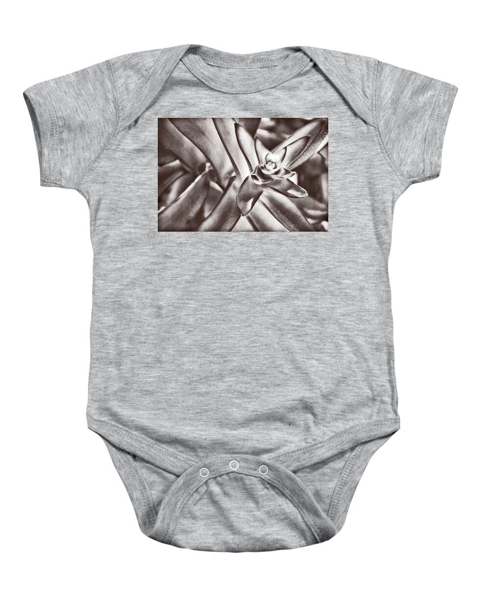 Succulent Baby Onesie featuring the photograph Sensual Succulent I by Leda Robertson