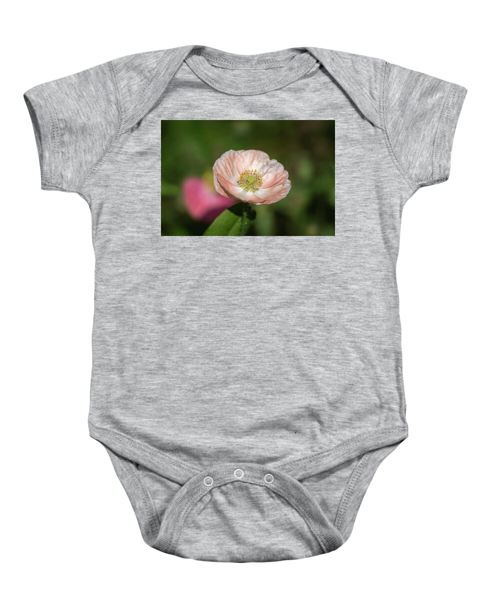  Baby Onesie featuring the photograph Shirley Poppy 2019-2 by Thomas Young
