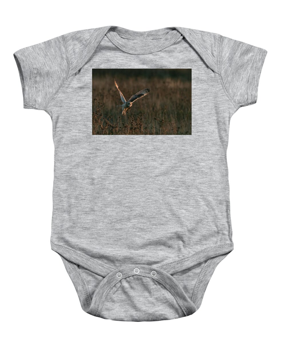 Flyladyphotographybywendycooper Baby Onesie featuring the photograph Short Eared Owl Liftoff by Wendy Cooper