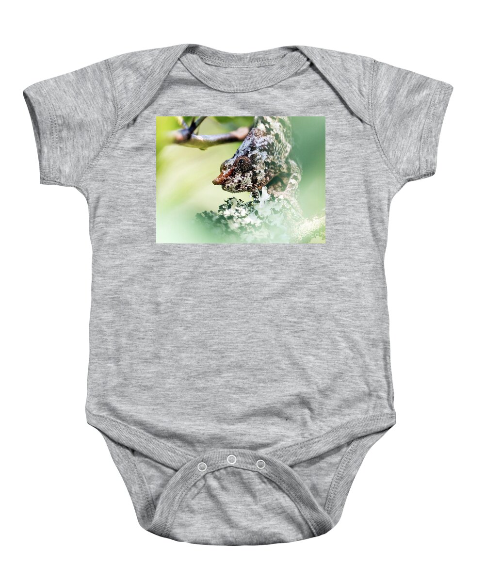 Chameleon Baby Onesie featuring the photograph Short-horned Chameleon 1 by Claudio Maioli