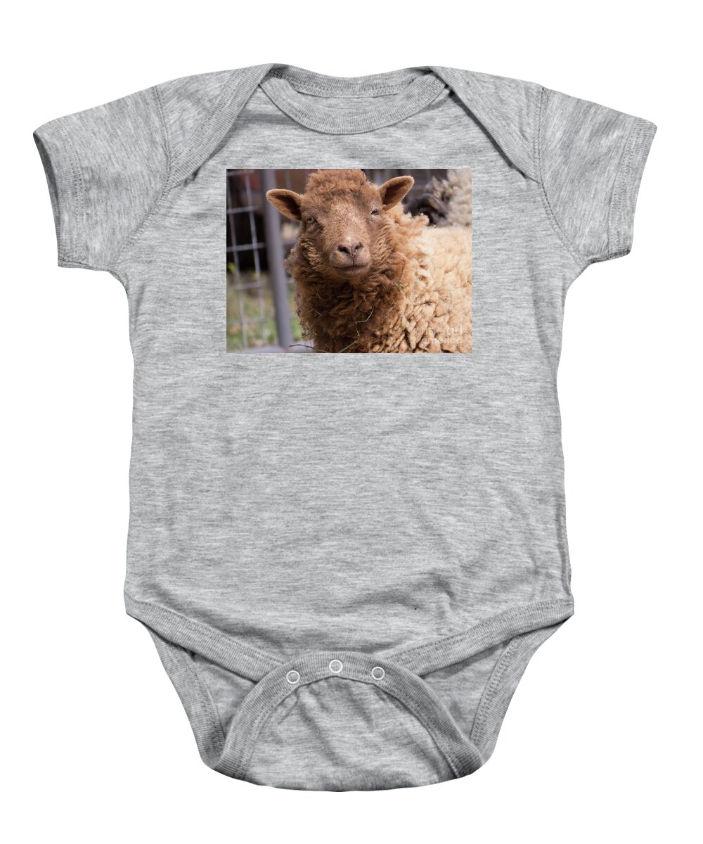 Sheep Baby Onesie featuring the photograph Smirking Sheep by Christy Garavetto