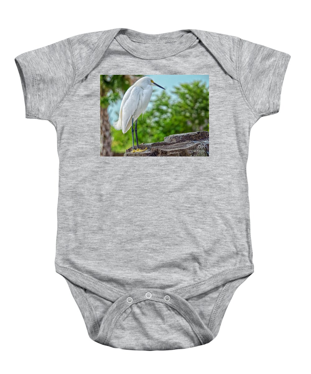 Everglades Birds Baby Onesie featuring the photograph Snow In Miami by Judy Kay