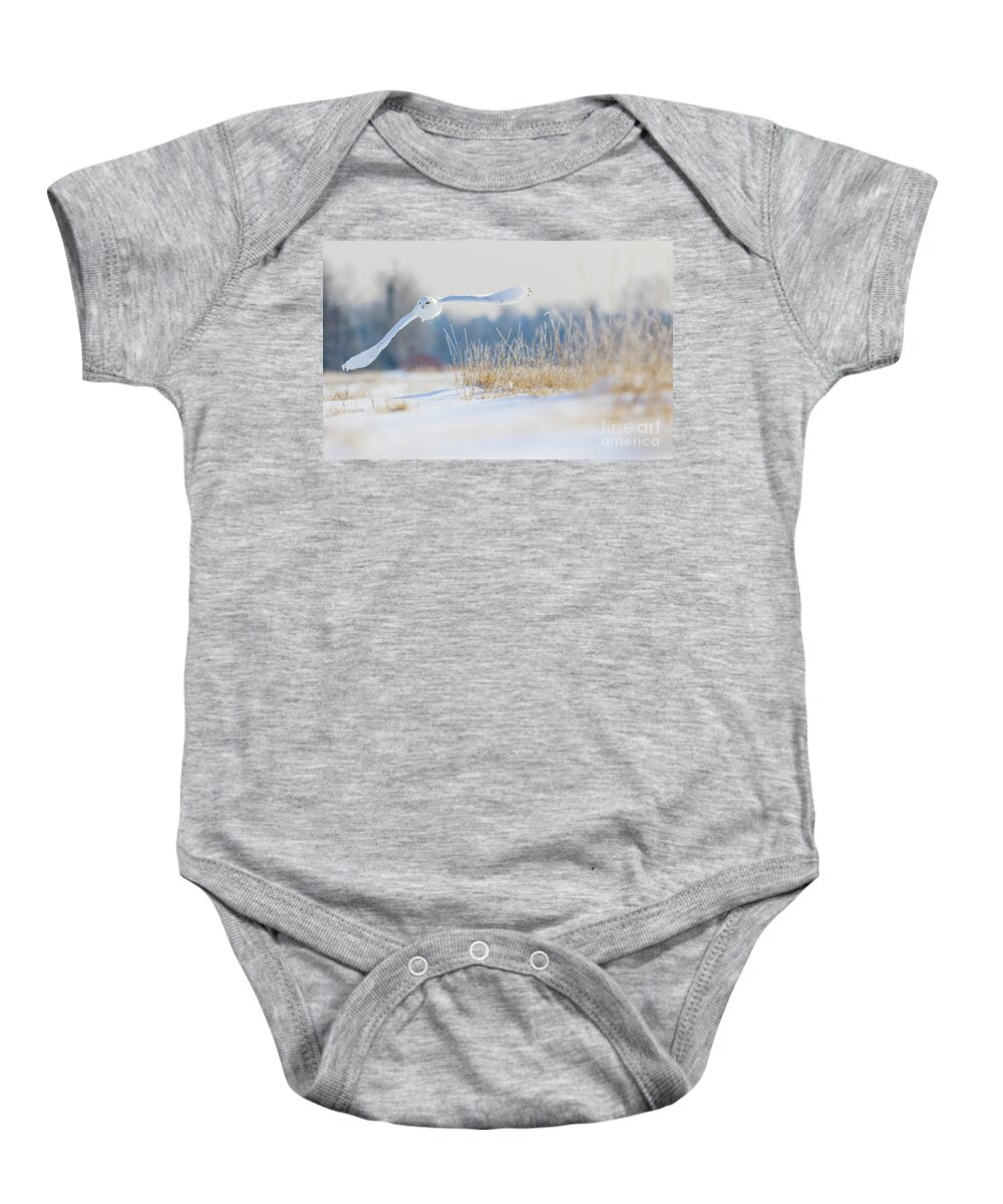 Snowy Owl Baby Onesie featuring the photograph Snowy owl taking flight by Rudy Viereckl