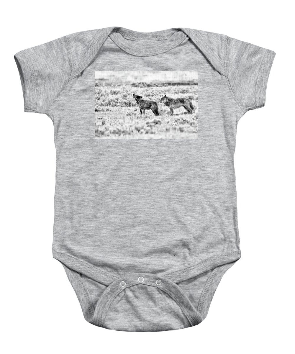 Spitfire Baby Onesie featuring the photograph Spitfire and Twin by Eilish Palmer