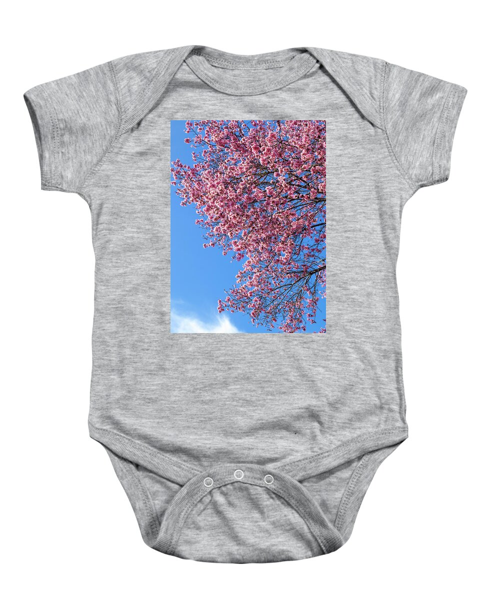 Cherry Blossoms Baby Onesie featuring the photograph Spring by Mary Ann Artz